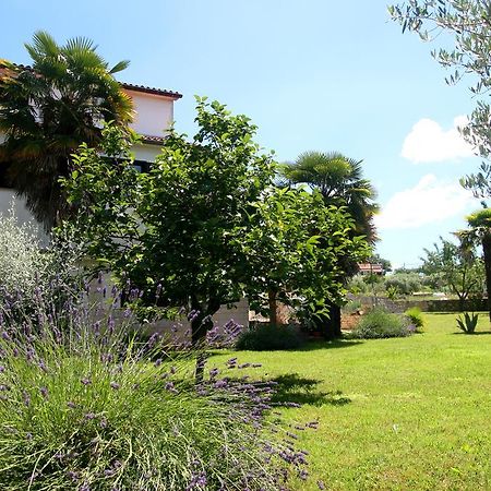 Korsa Apartment Sveti Lovreč Pazenatički Kültér fotó